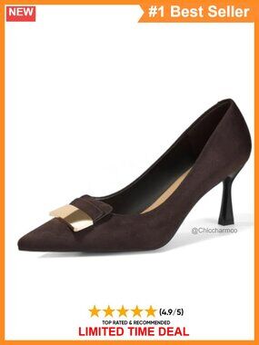 Lambskin Insole Pointed Toe Metal Deco High Heel Dress Pumps